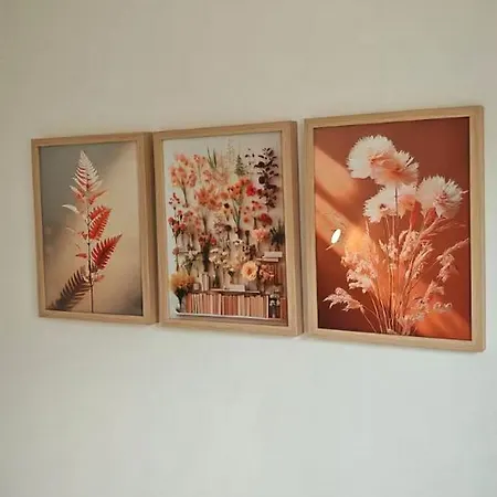 Bed & Breakfast Erikantibesparadise Antibes
